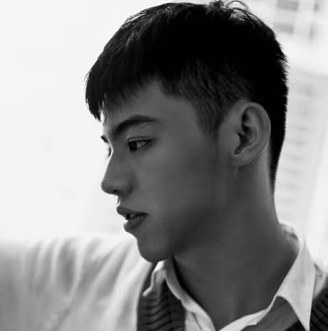 Chan dung hot boy dien trai lam Hoang Yen Chibi say nang - Anh 3