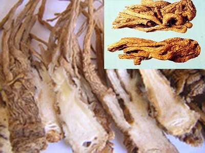 Bai thuoc co phuong dieu tri vo sinh nam - Anh 1