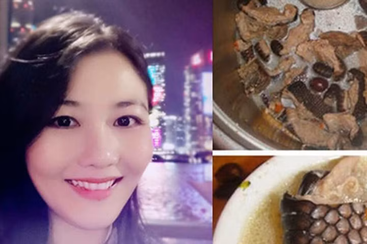 Ăn thịt động vật quý hiếm đăng hình lên mạng, "công chúa tê tê" bị cảnh sát bắt giữ