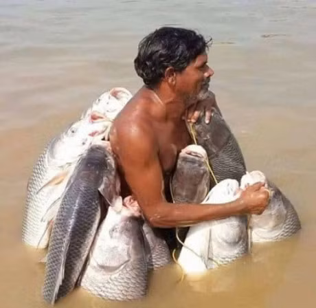 Hinh anh hai huoc nhat tren facebook tuan qua - Anh 9