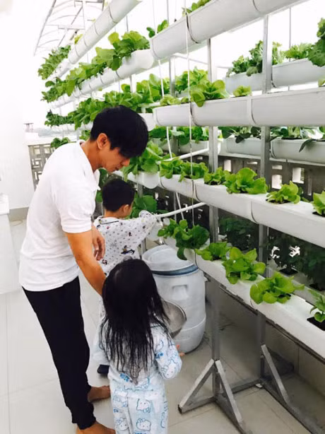 Ly Hai dau tu vuon rau hang chuc trieu dong tren san thuong - Anh 7