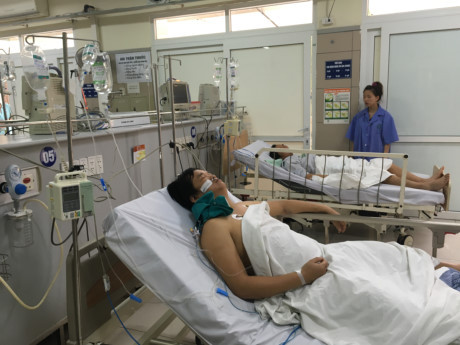 3 người nguy kịch vì ăn ngộ độc nấm rừng - Ảnh 2 3 nguoi nguy kich vi an ngo doc nam rung - Anh 2