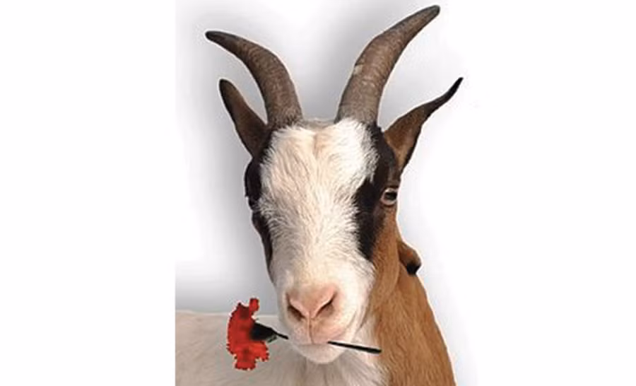 Hình ảnh con dê xuất hiện khá phổ biến trong văn chương gắn liền với những điển cố