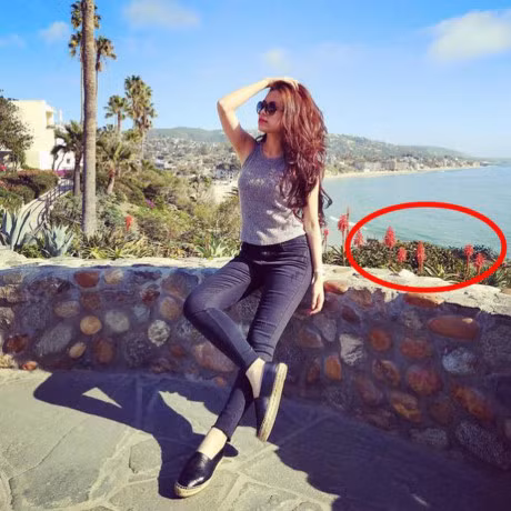 Hoang Thuy Linh va Vinh Thuy dang 