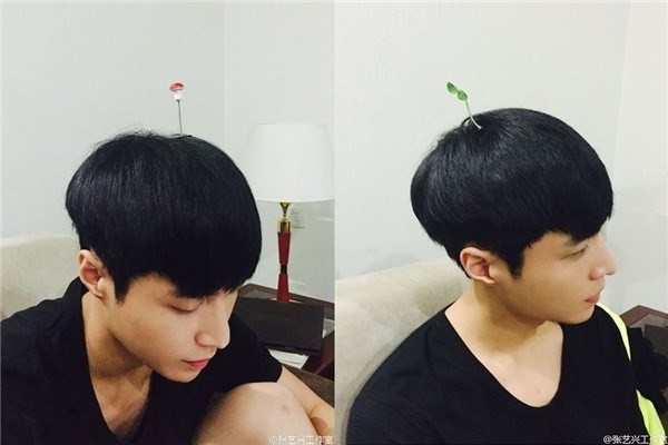 Là người Trung Quốc, chắn hẳn Lay (EXO) không thể bỏ qua trào lưu cặp mầm đang “hớp hồn” người dân quê nhà. than tuong