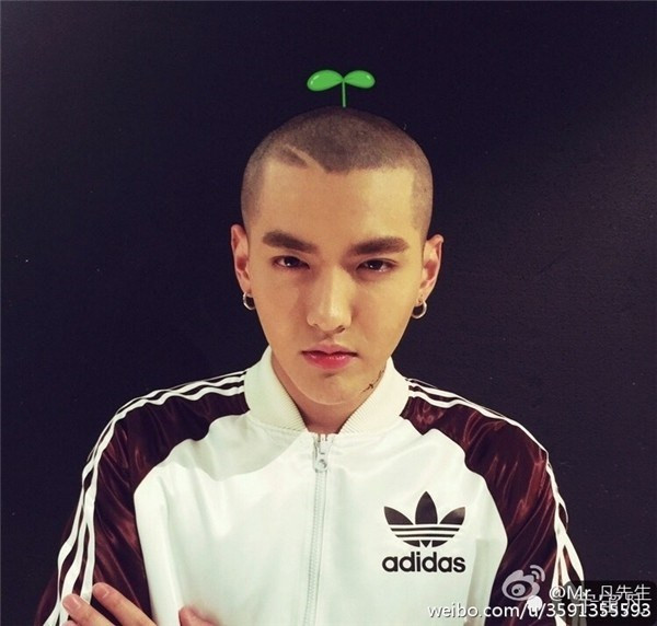 Tuy đã cạo trọc nhưng Ngô Diệc Phàm vẫn bắt kịp xu hướng và hưởng ứng phong trào với cài đầu mầm trên đầu. than tuong