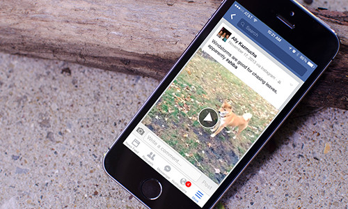 Cách tắt tự động phát video trên Facebook