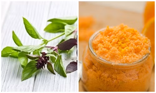 Không cần tốn nhiều tiền đi lấy cao răng chỉ với loại rau hai ngàn đồng - Ảnh 2