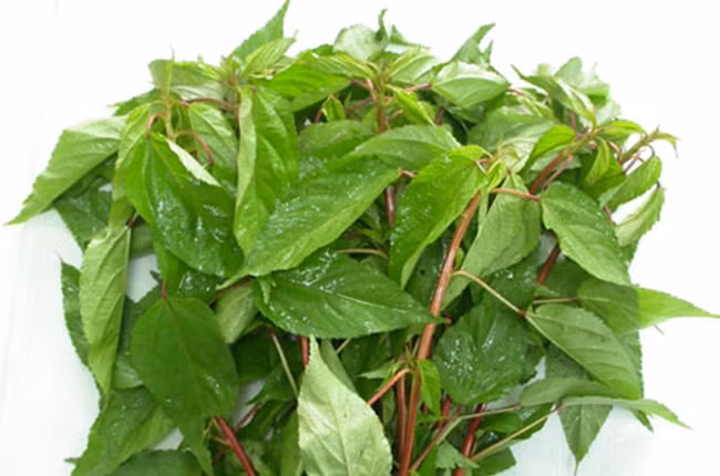 Không chỉ là món ăn ngọt mát, canh cua rau đay còn là một phương thuốc chữa bệnh kỳ diệu.