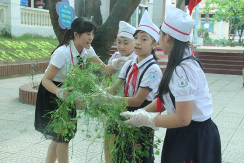 Học sinh Trường tiểu học Thọ Sơn (Phú Thọ) thực hành phân loại rác trên sân trường