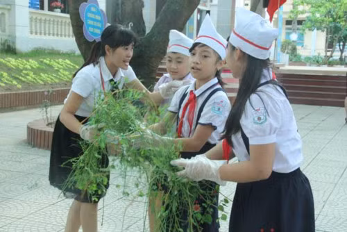 Học sinh Trường tiểu học Thọ Sơn (Phú Thọ) thực hành phân loại rác trên sân trường