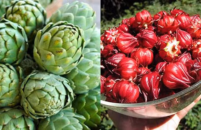 Atiso được coi là “thần dược” đối với bệnh gan vì nó làm sạch các độc tố trong gan.