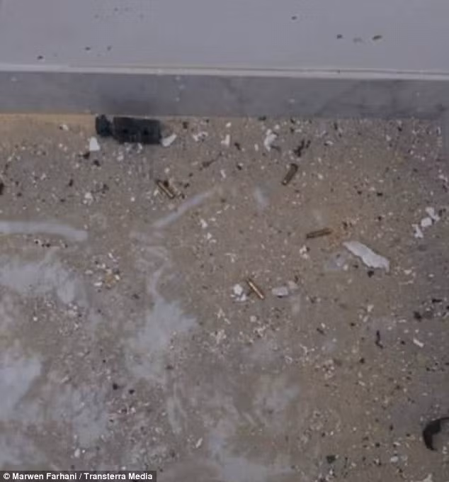 khủng bố, tấn công, đẫm máu, bảo tàng, Tunisia