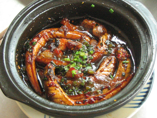 Chuyện loài cá “đứng nhìn thao láo” khi gặp người ảnh 3 thoi-loi-kho