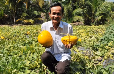 Nam nay, trai cay doc, la trung Tet se hiem hang - Anh 2