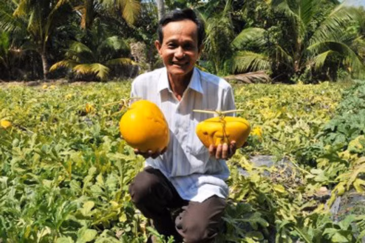 Năm nay, trái cây độc, lạ trưng Tết sẽ hiếm hàng