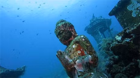 Bi mat phia sau ngoi chua 