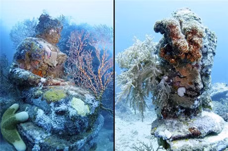 Bi mat phia sau ngoi chua 