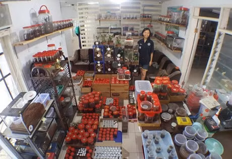 Co gai nuoi 1.500 con nhen doc nhat hanh tinh lam thu cung - Anh 2