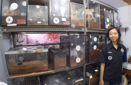 Co gai nuoi 1.500 con nhen doc nhat hanh tinh lam thu cung - Anh 5