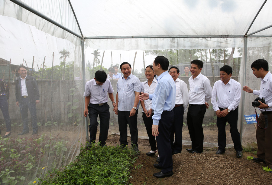 Phó Thủ tướng tham quan khu vườn rau tại thôn Hà Thanh. Ảnh: VGP/Thành Chung