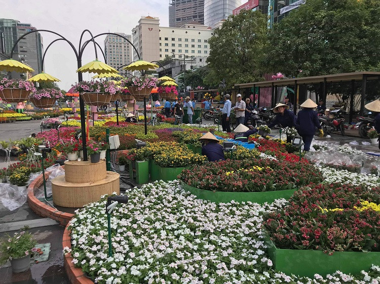 Ngập tràn sắc hoa chào đón du khách