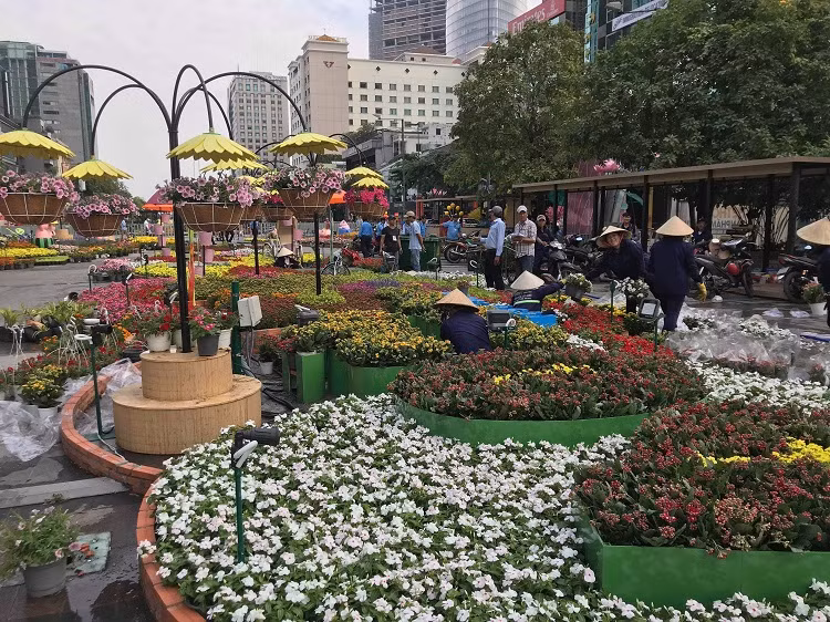 Ngập tràn sắc hoa chào đón du khách