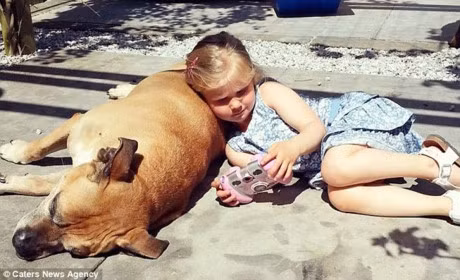 Cuoc chia tay cuoi cung cua be gai voi chu cho vua mu vua diec cham den trai tim hang trieu nguoi - Anh 5