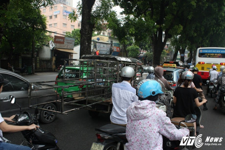 Nhan nhản những kẻ lê Nhan nhan nhung ke le