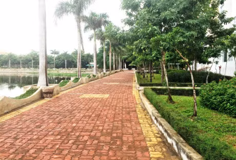 Vien kiem sat nhan dan toi cao chi dao lam ro vu dam o tre em o Vung Tau - Anh 1