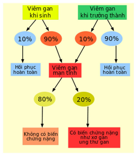 Viêm gan - dính là Viem gan - dinh la