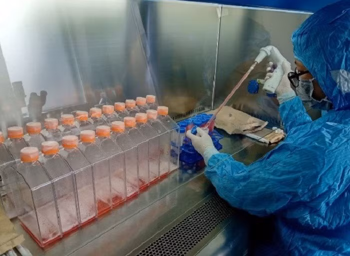 Nhóm nghiên cứu thực hiện việc phối trộn hợp chất để tạo ra vắc-xin trong phòng thí nghiệm.