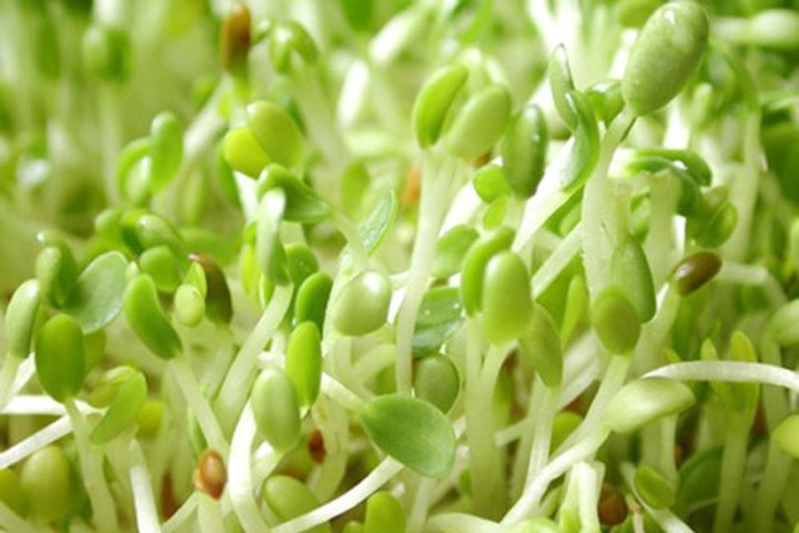 Món ăn được ví như "vàng mười", tốt hơn ngàn năm dùng thuốc bổ