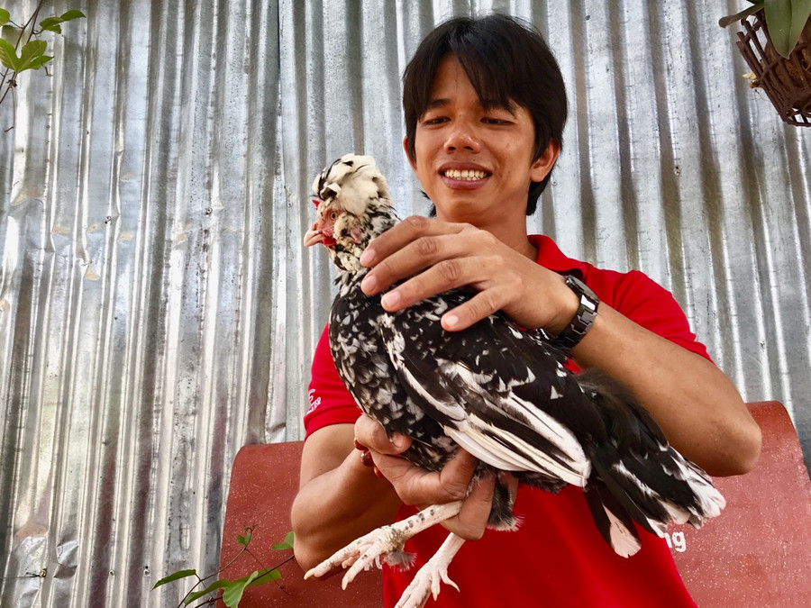 Anh Thanh bên giống gà quý phi.
