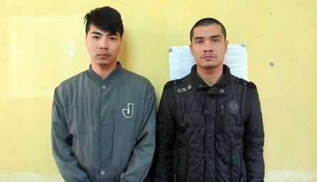 Khởi tố 2 đối tượng “bắt cóc” nữ cán bộ trường đại học