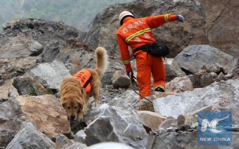 Không thấy dấu hiệu sống sót của 64 người trong vụ lở đất ở Thiểm Tây