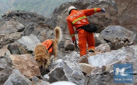 Không thấy dấu hiệu sống sót của 64 người trong vụ lở đất ở Thiểm Tây