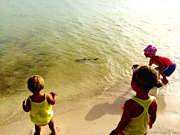 Dạy con kiểu Mỹ 2