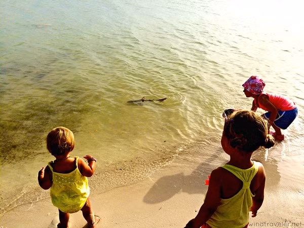 Dạy con kiểu Mỹ 2