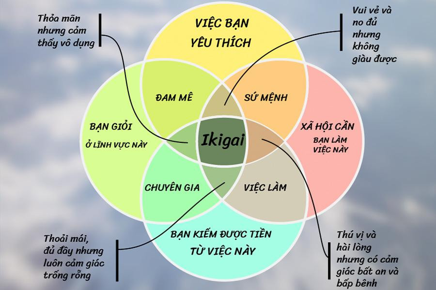 Khôi Nguyên áp dụng biểu đồ Ikigai khi chọn ngành, trường học. Ảnh: IT