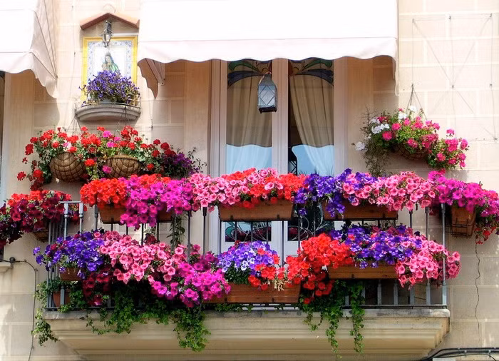 Ban công nhỏ luôn bừng sáng nhờ những giỏ hoa xinh xắn 