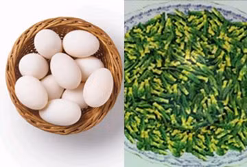 Món ăn cho người sợ