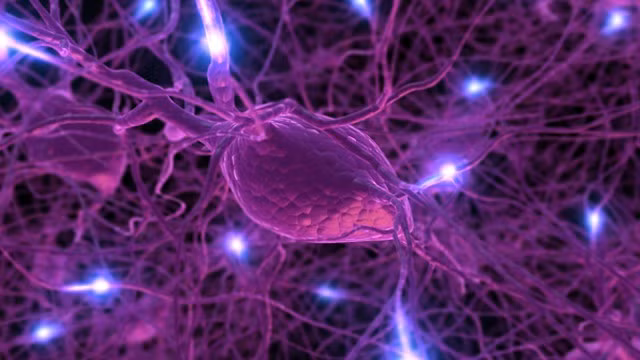 Phần lớn chất độc thần kinh có khả năng làm tê liệt hệ thần kinh của động vật.