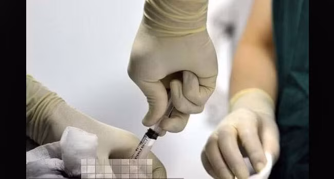 Cận cảnh ca thụ tinh nhân tạo trong ống nghiệm