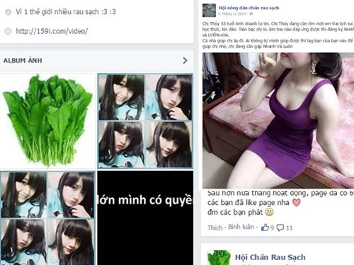 Thú vui bệnh hoạn “chăn rau” trên facebook