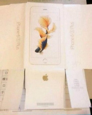 Ảnh được cho là hộp iPhone 6S Plus. hop-iphone-6s-plus-1743-1440662980.jpg