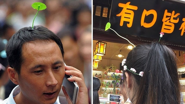 Rộ trào lưu để "trồng cây trên đầu”