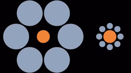 Loat tranh choc tuc thi giac noi tieng - Anh 12