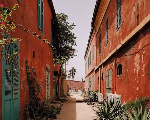 Bạn chọn du học châu Phi? Đừng bỏ lỡ những quốc gia này ảnh 4