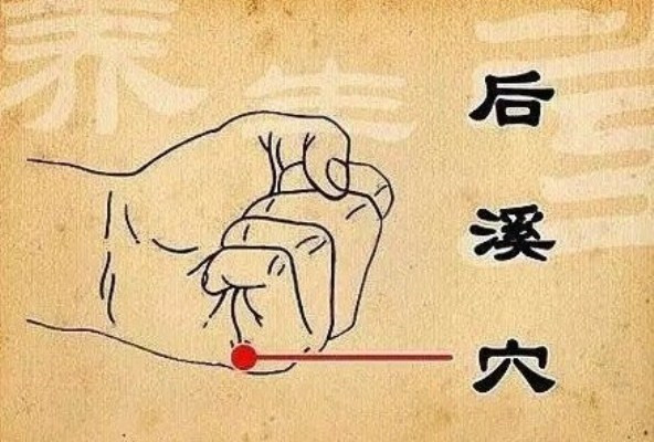 Khi rảnh rỗi nhớ day huyệt Hậu Khê, bạn sẽ thấy cận thị dần biến mất ảnh 1